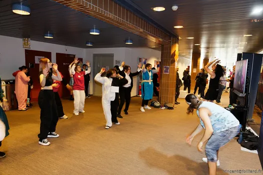 Copyright : Vincent Folliard